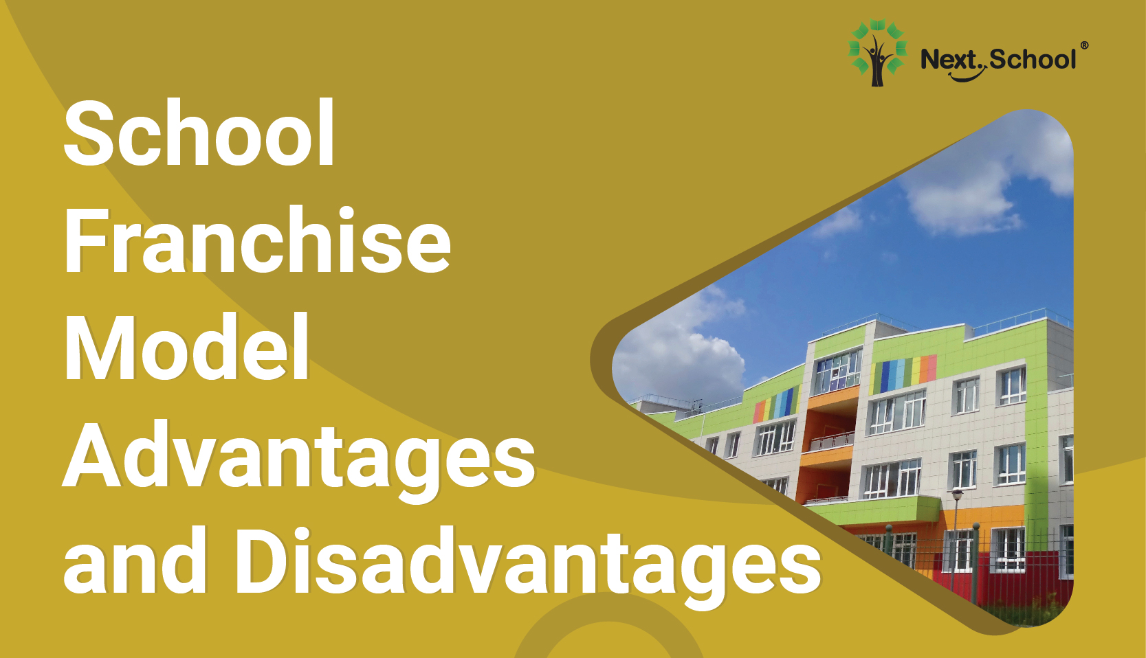 school franchise model advantages and disadvantages